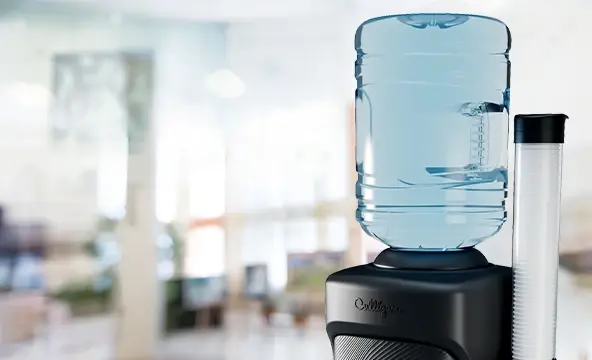 Reasons business core cb 1